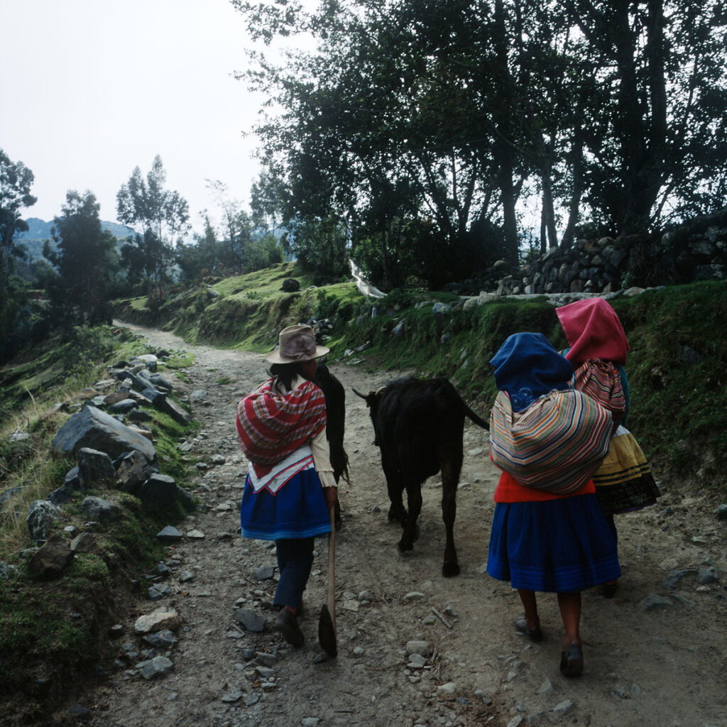 Women walking to their fields