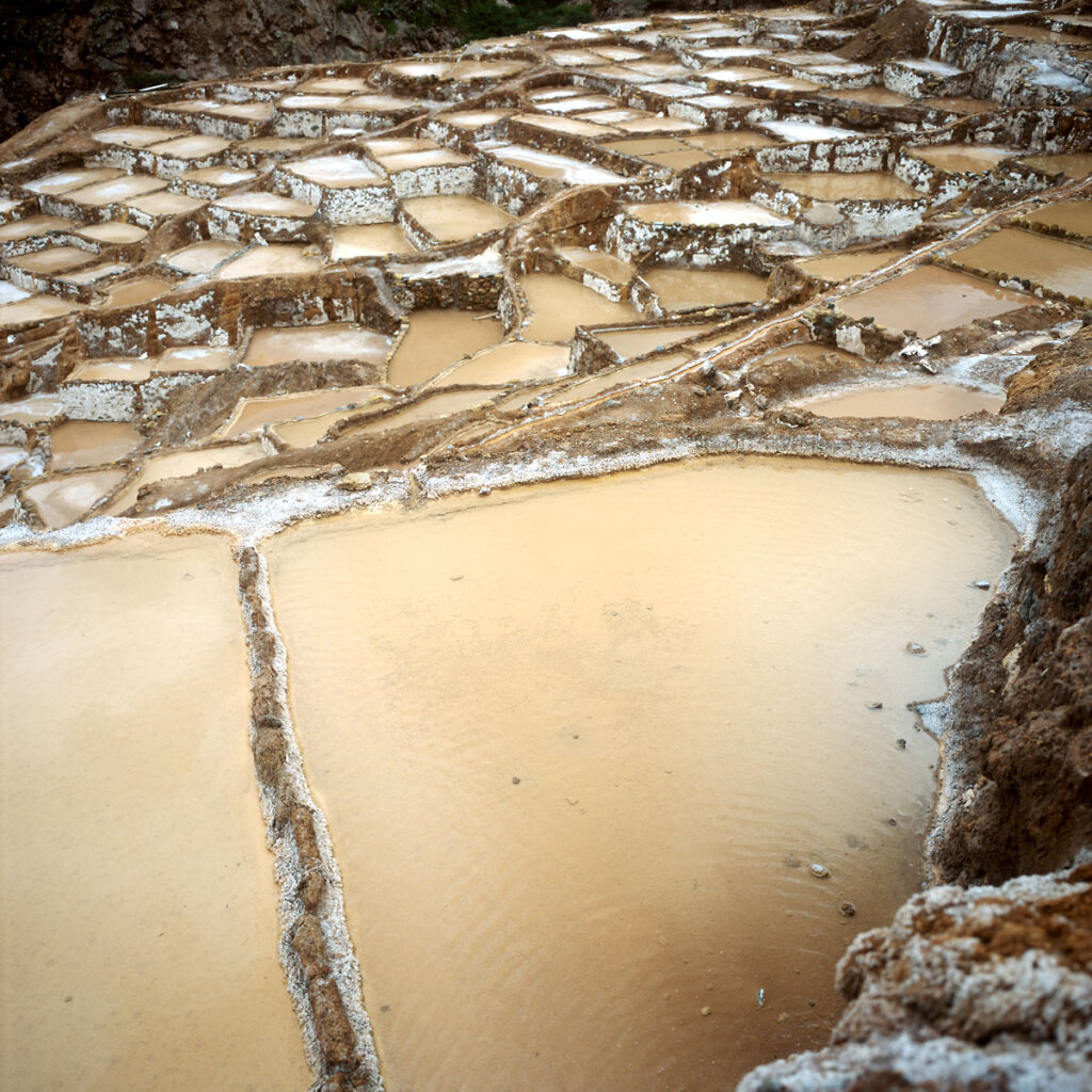 Salt ponds