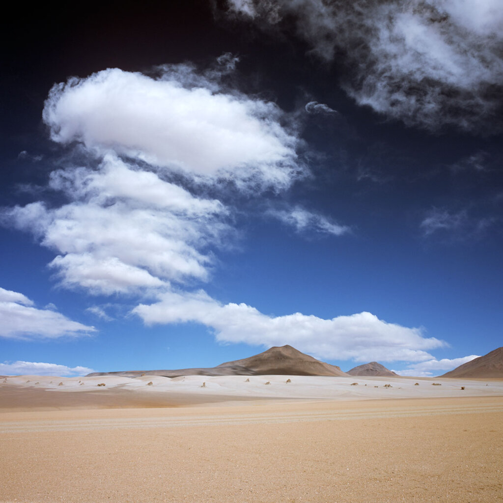 Desierto de Dali