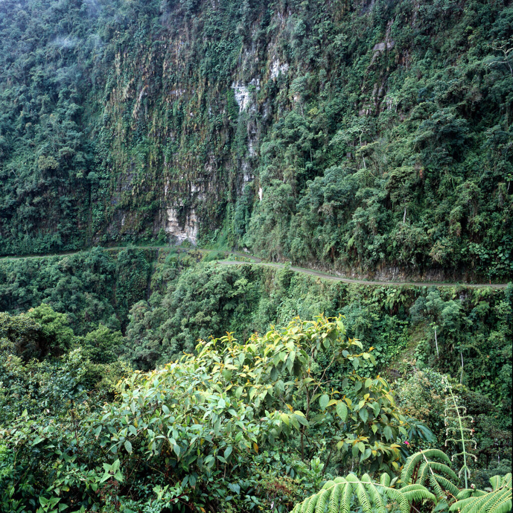 Camino a los Yungas,