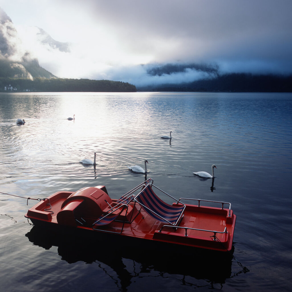 Swans and Pedalo in the morning of  the Hallstätter See 