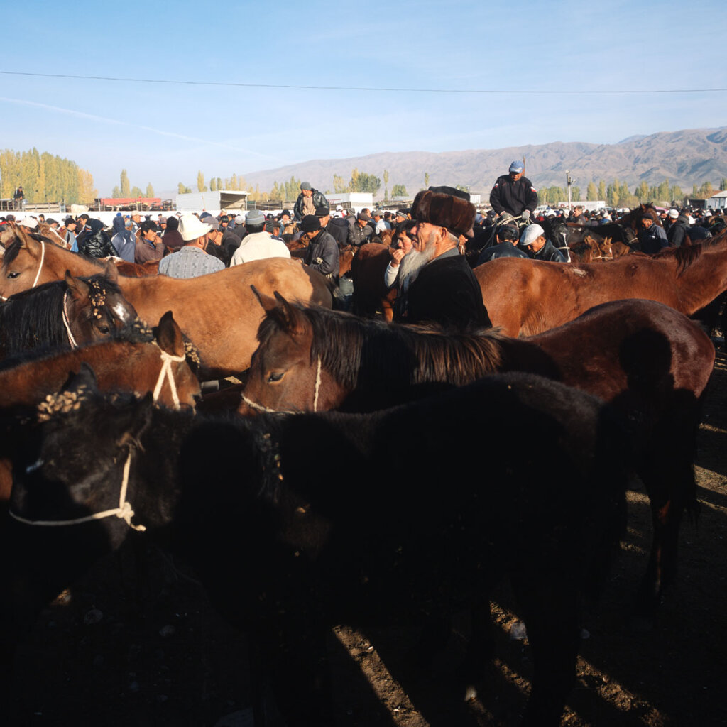 Cattle market in Talas  