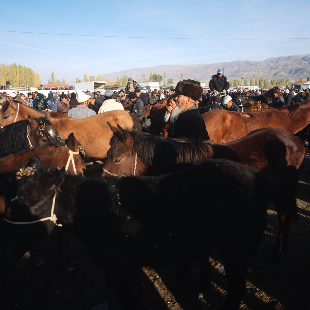 Cattle market in Talas  