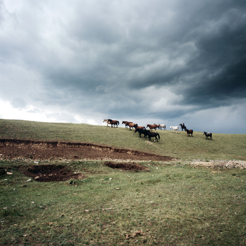 Kirgyz guiding his horses near Otmök