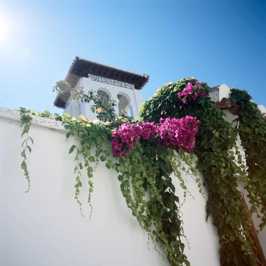 Granada (Andalucía, España)