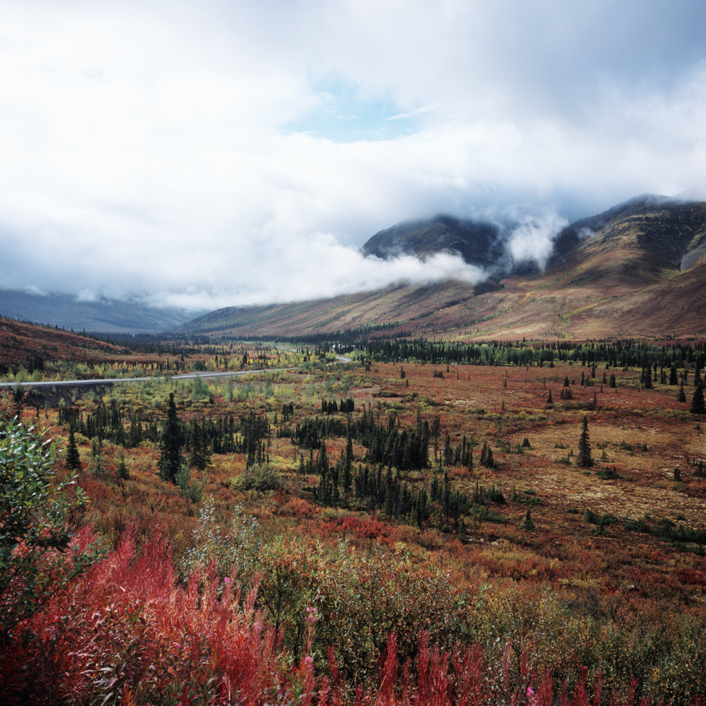 Tombstone Territorial Park