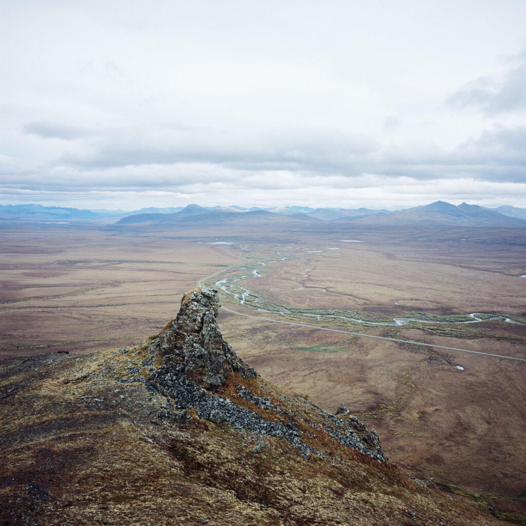 Surfbird Rock Tower