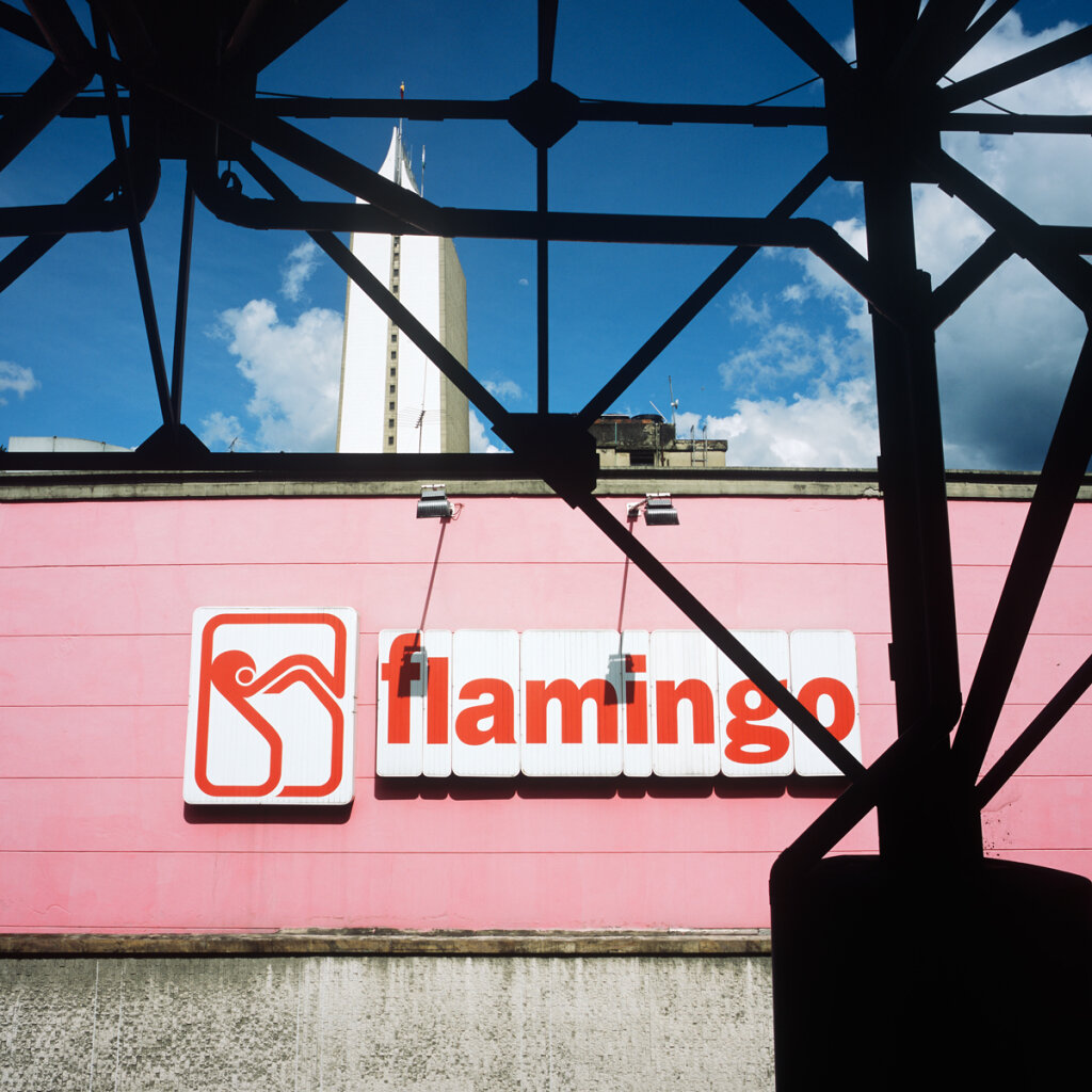 Flamingo
