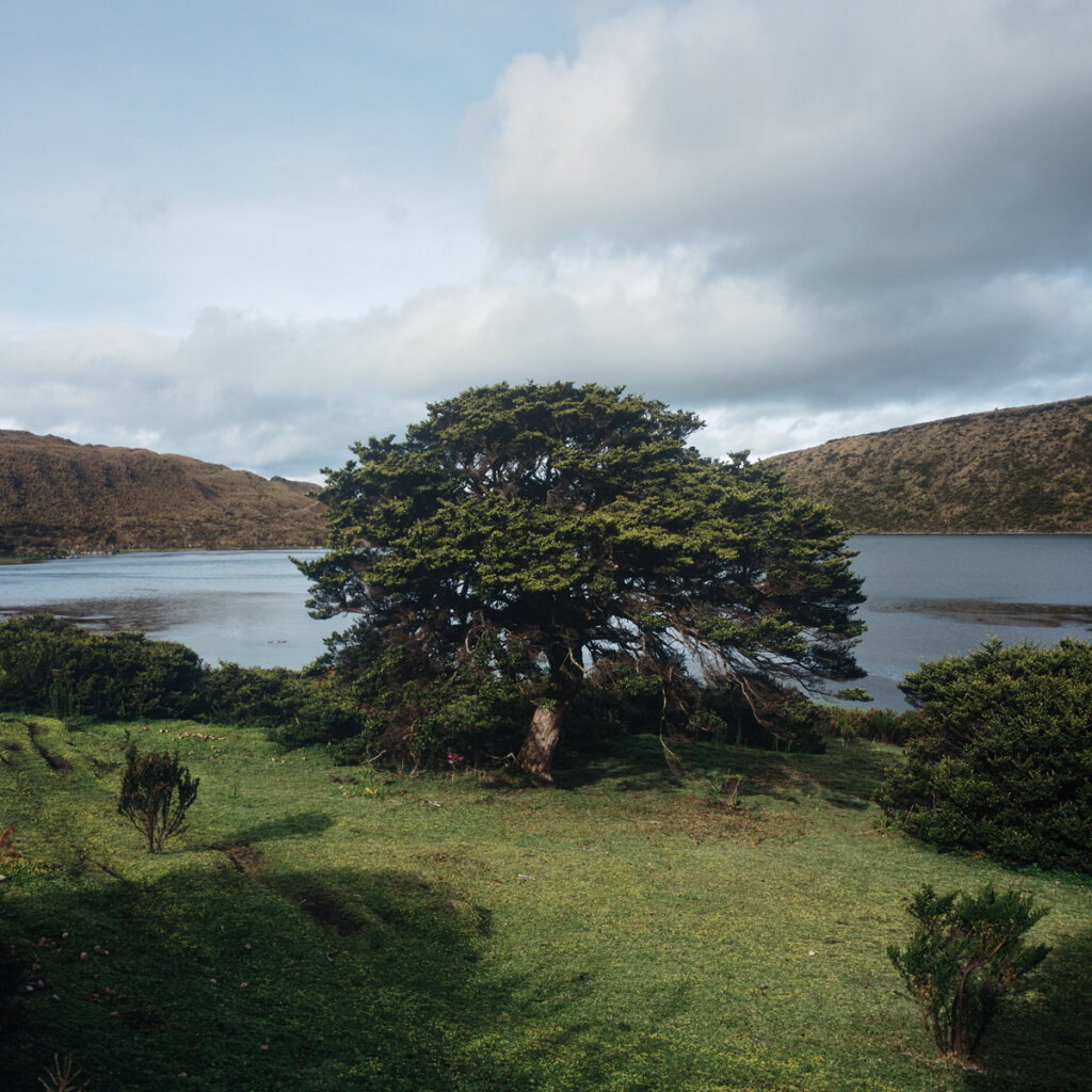 Laguna Del Otún